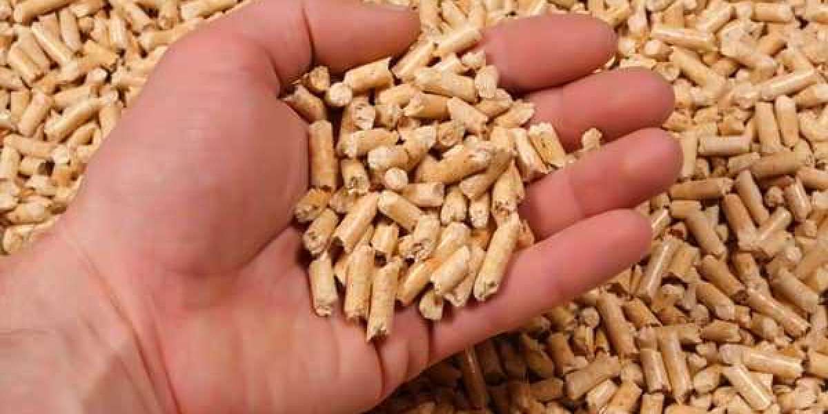 Wood Pellets Market Expanding Application Areas to Drive the Global Market Growth till 2027