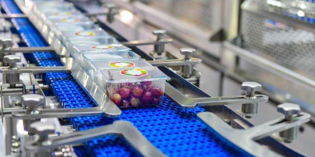 Food Packaging Automation Market Research Reveals Enhanced Growth During the Forecast Period