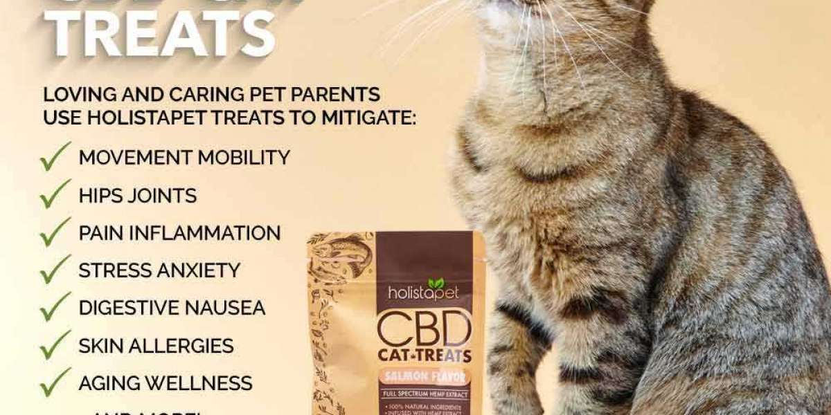 Are You Curious To Know About CBD Cat Treats