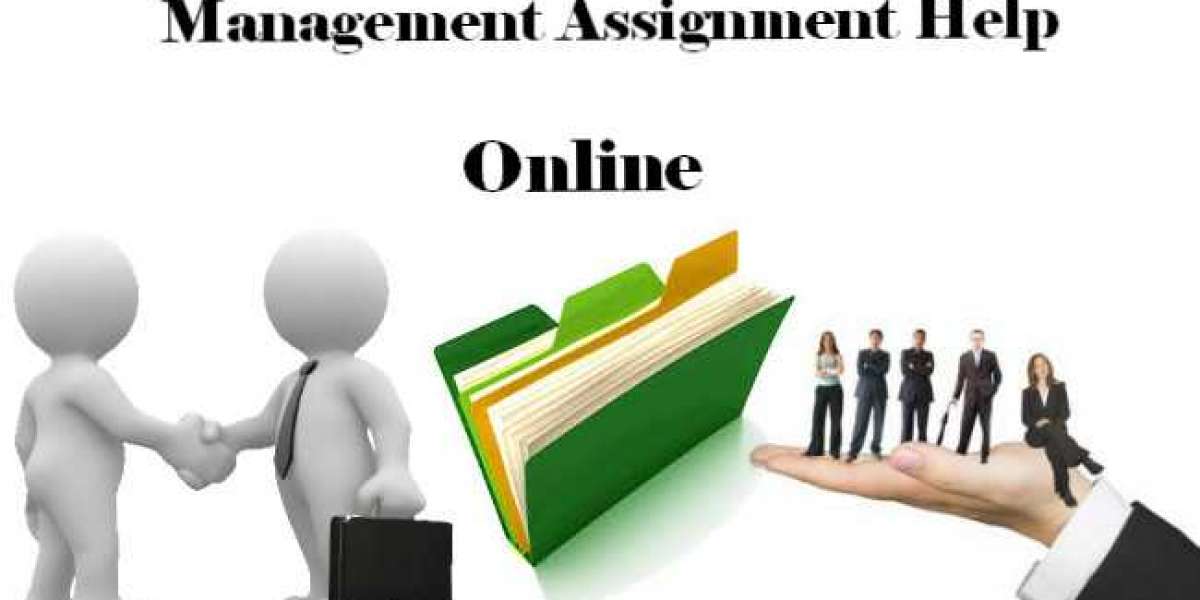 What Subjects Are Included in Management Assignment Help Services?