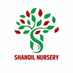 Shandil Nursery