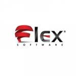 Flex Software Consulting