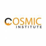 Cosmic Institute Of Business & Technology